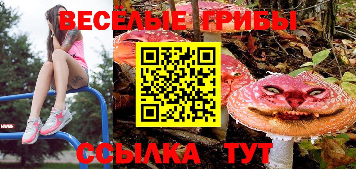 Галлюциногенные грибы Magic Shrooms Феодосия
